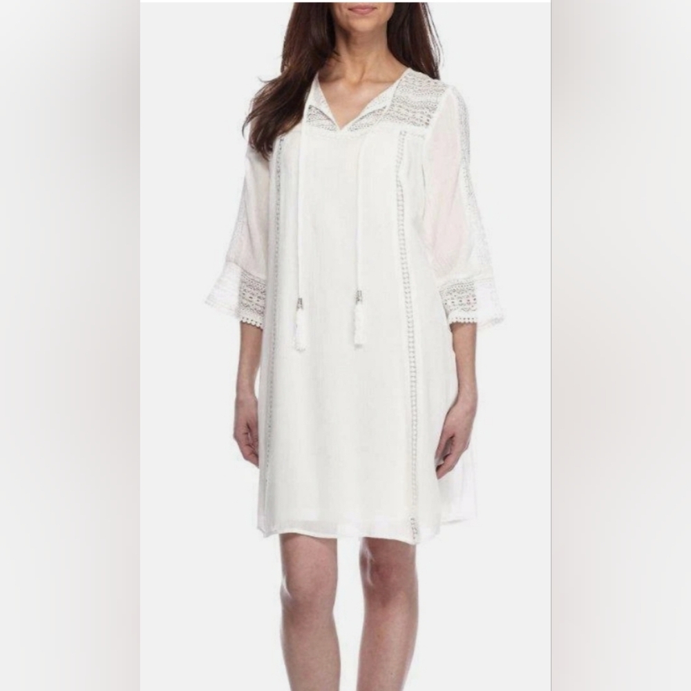 Bohemian Fairy Gauze Lace Trim Mini Dress